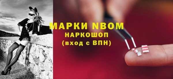 мдпв Алексин