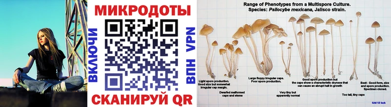 Галлюциногенные грибы MAGIC MUSHROOMS  Купить закладки  Бирюсинск 